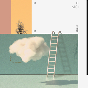 偷窃中国公厕的最新情况
