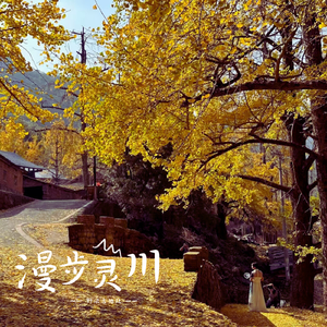 偷窃中国公厕的最新情况
