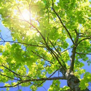 偷窃中国公厕的最新情况
